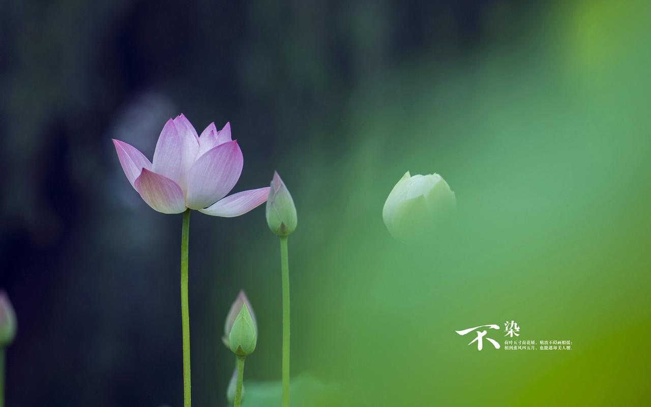 西艾滋病携带者症状门子开关怎么样