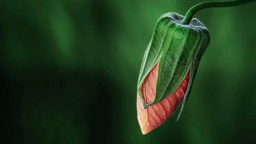 python报班大概多少钱